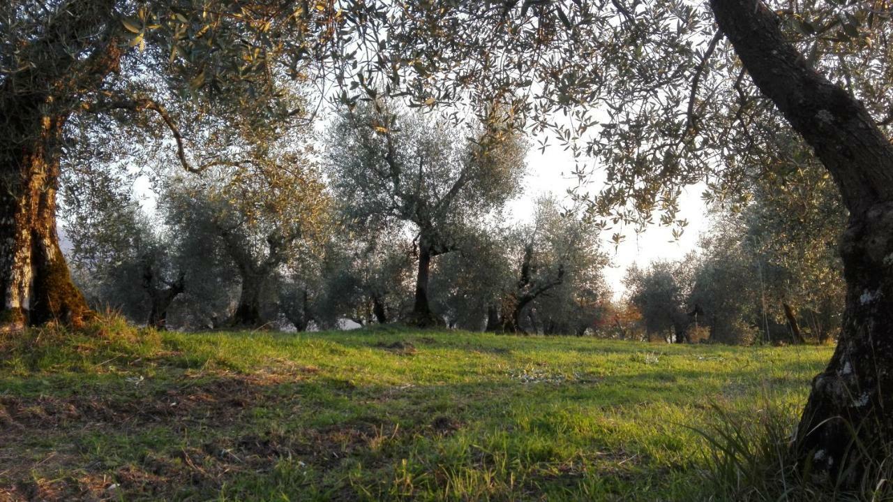 La Fornella Dell'Anita Villa Pelago Ngoại thất bức ảnh